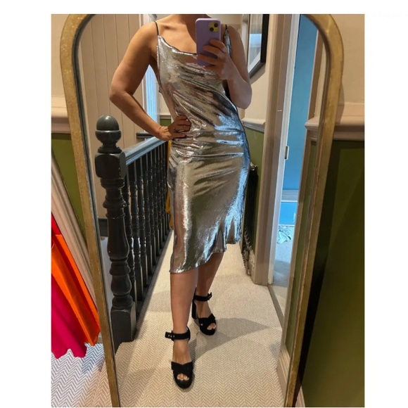 Petar Petrov Molten Silver Velvet Slip Dress - NWT, size M-L - Picture 8 of 9